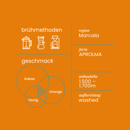 Honduras Projektkoffie Nr. 5